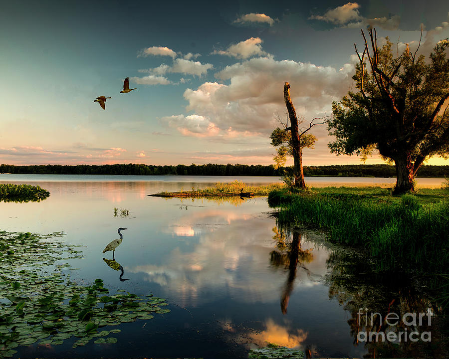 A Summer Morning Chippewa Lake Ohio by Robert Gardner