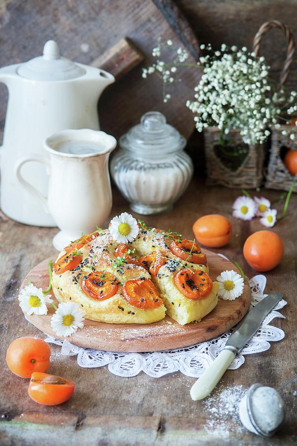 A Summery Mini Apricot Cake Photograph by Irina Meliukh