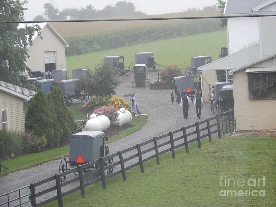 A Sunday Amish Community Gathering Photograph by Christine Clark