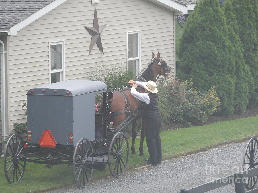 A Sunday Morning on an Amish Farm Photograph by Christine Clark