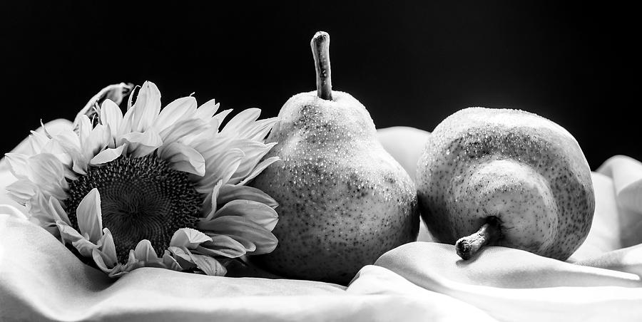 A Sunflower and Pears in Black and White Photograph by Maggie Terlecki