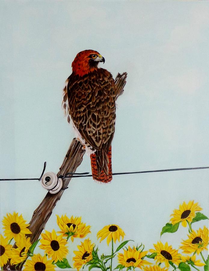 Hawk Painting - A Sunny Day by Carol Avants