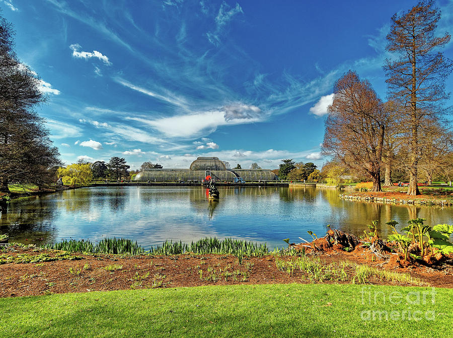 A sunny morning at Kew Gardens by Leigh Kemp A sunny morning at Kew Gardens by Leigh Kemp