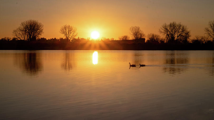 A Swim at Sunrise Photograph by Monte Stevens