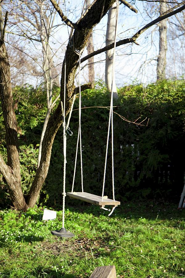 A Swing In A Garden Photograph by Barbara Bonisolli