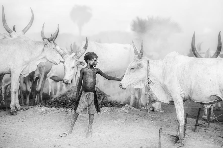 Cow Photograph - A Symbiotic Bond by Trevor Cole