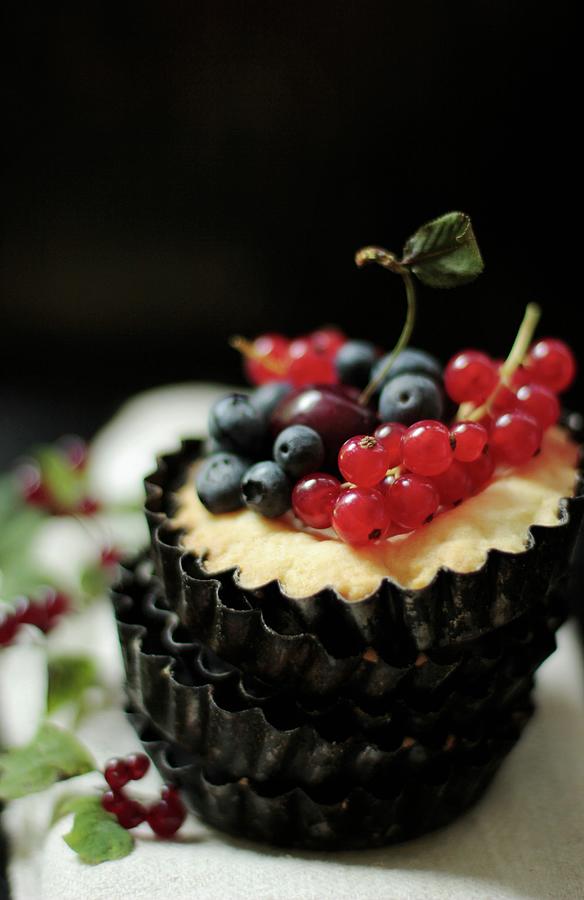 A Tartlet With Berries And A Cherry Photograph by Vivi Dangelo