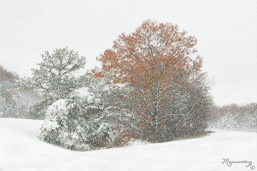 A Taste of Winter Photograph by Mariarosa Rockefeller