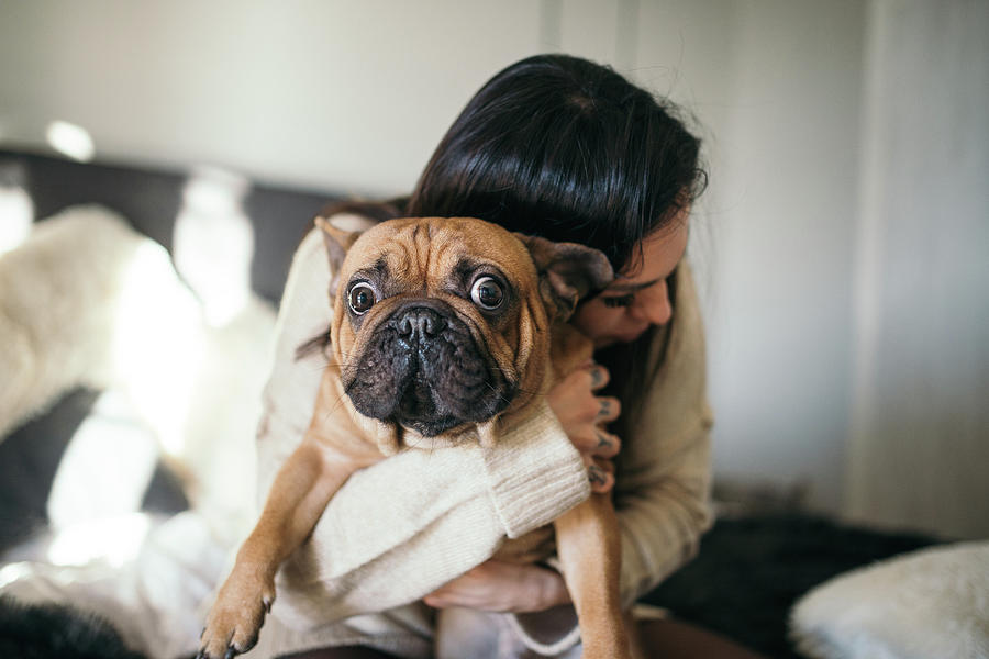 Animal Photograph - A Tattooed Woman Hugging Her Cute Puppy. Happy Moment Between Pe by Cavan Images
