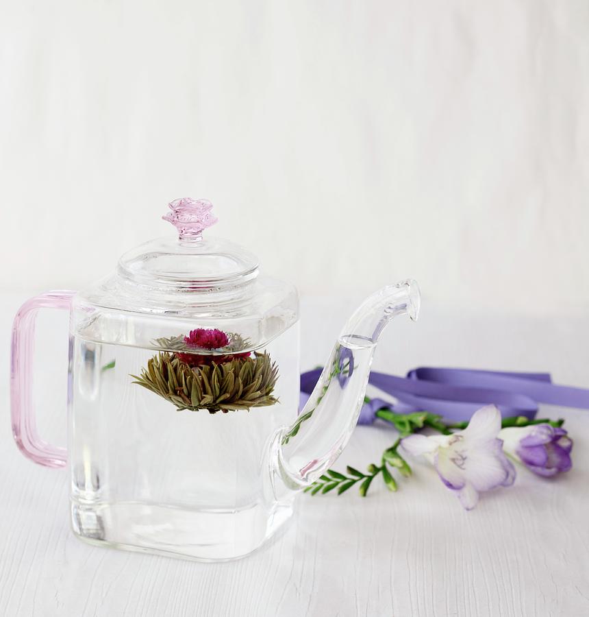 A Tea Flower In A Glass Teapot Photograph by Katharine Pollak