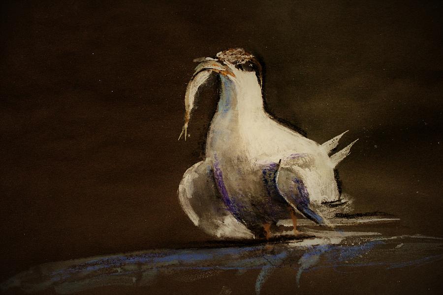 A Tern Painting by Khalid Saeed