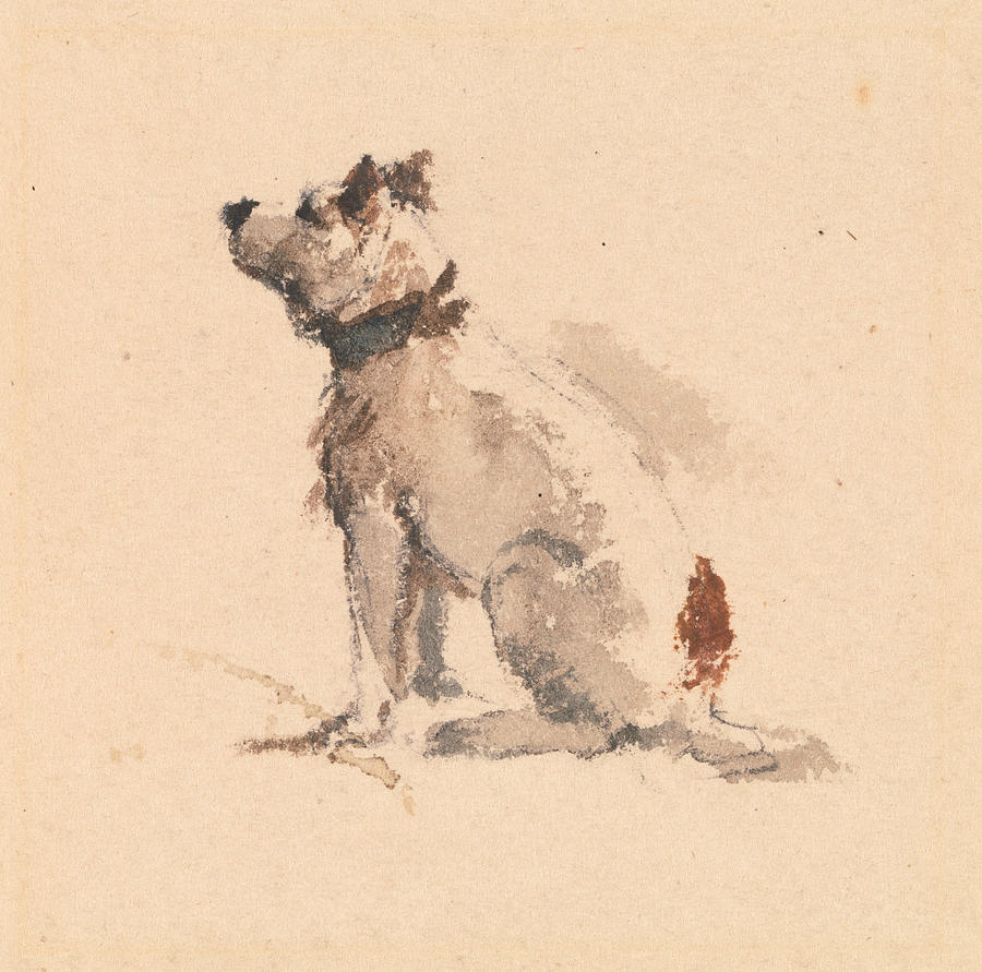 A Terrier, Sitting Facing Left Drawing by Peter De Wint