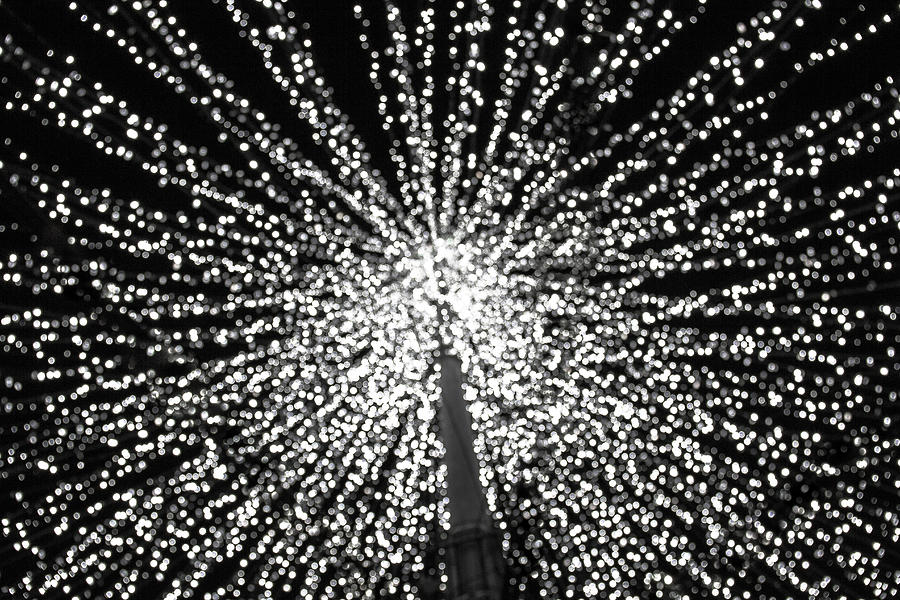 A Thousand Lights  Photograph by Amy Sorvillo