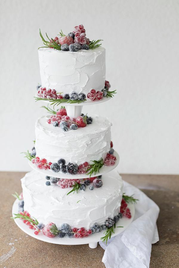 A Three-tiered Wedding Cake With Sugar-coated Berries Photograph by Emma Friedrichs