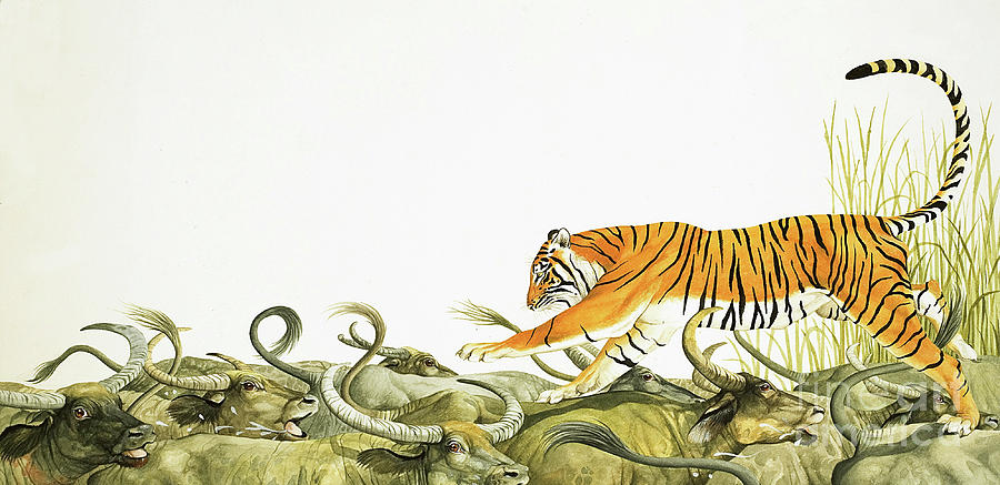 the tiger and the buffalo painting