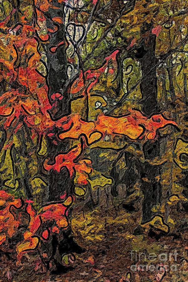 A Time in the Woods by C L Lassila A Time in the Woods by C L Lassila