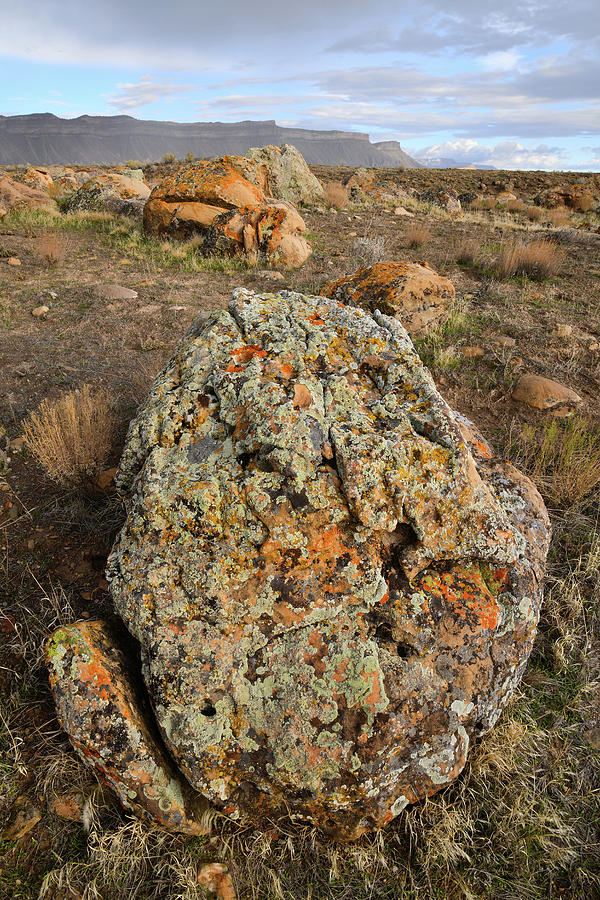 A Toad Like Boulder in the Book Cliffs Photograph by Ray Mathis