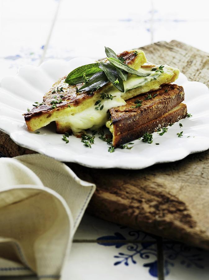 A Toasted Sandwich With Mozzarella And Herbs italy Photograph by Mikkel Adsbl