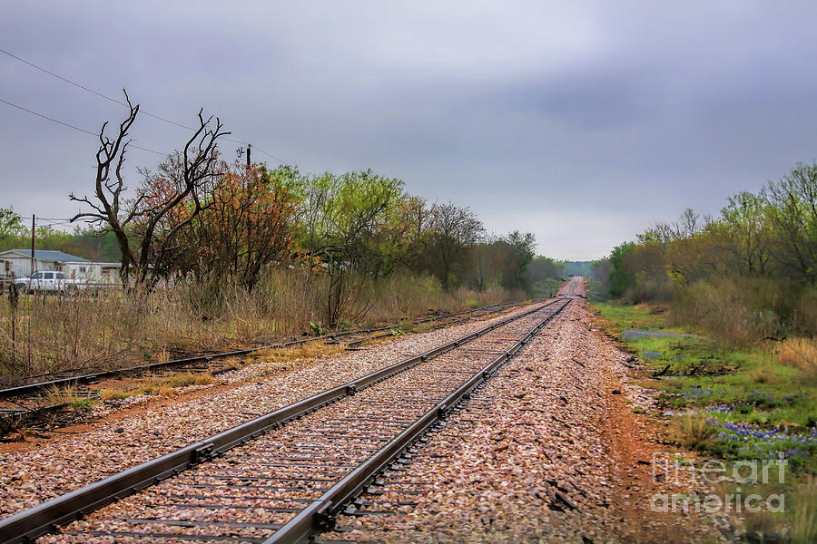 A Touch of Blue Along the Tracks Photograph by Joan Bertucci