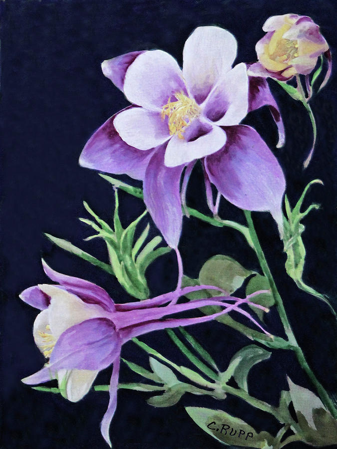 Flower Painting - A Touch Of Purple by Carol J Rupp