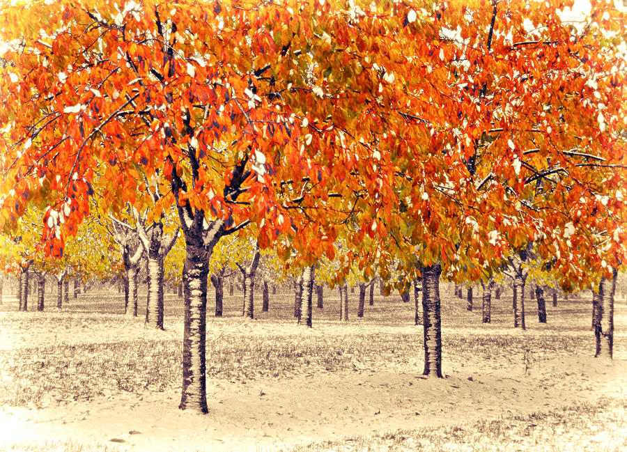 A Touch Of Winter by SimplyCMB A Touch Of Winter by SimplyCMB