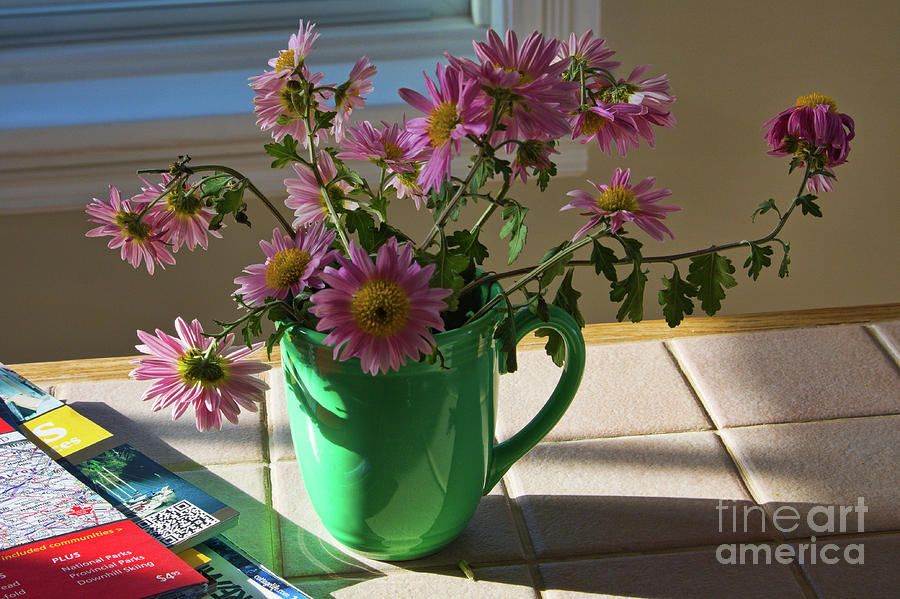 A traveler still life with autumn flowers Photograph by Tatiana Travelways