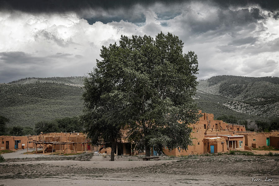 A Tree At Taos Pueblo Photograph