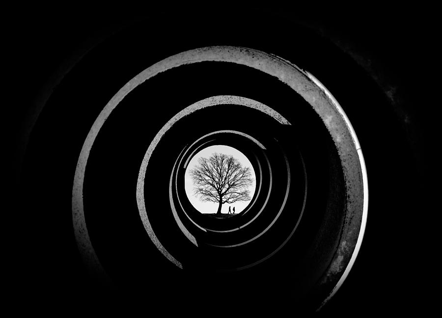 Abstract Photograph - A Tree In The Center. by Inge Schuster