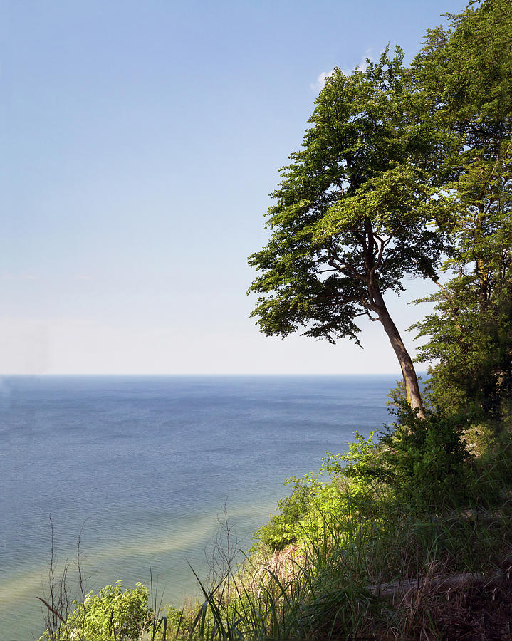 A tree on the cliff Photograph by Ursula Salzmann - Fine Art America