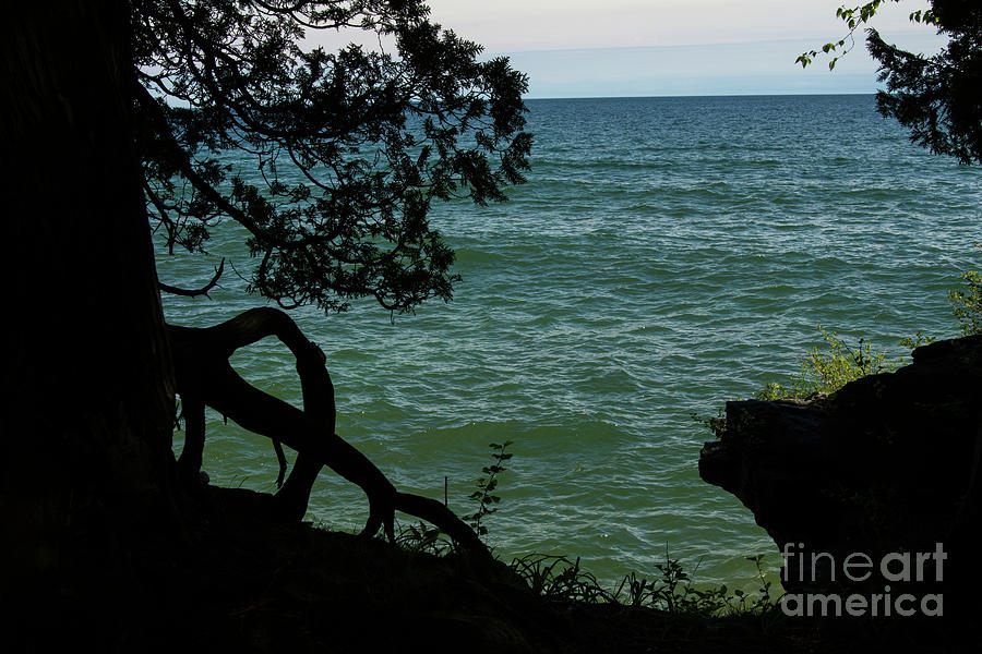 A Trees View... Silhouette of Lake Michigan Photograph by Deborah ...