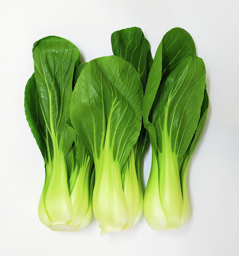 A Trio Of Bok Choi Photograph by (c)andrew Hounslea