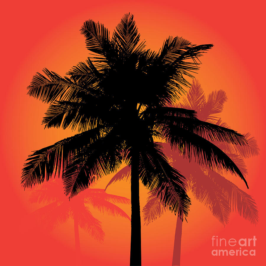 A Trio Of Tropical Coconut Palm Tree Digital Art by Arena Creative