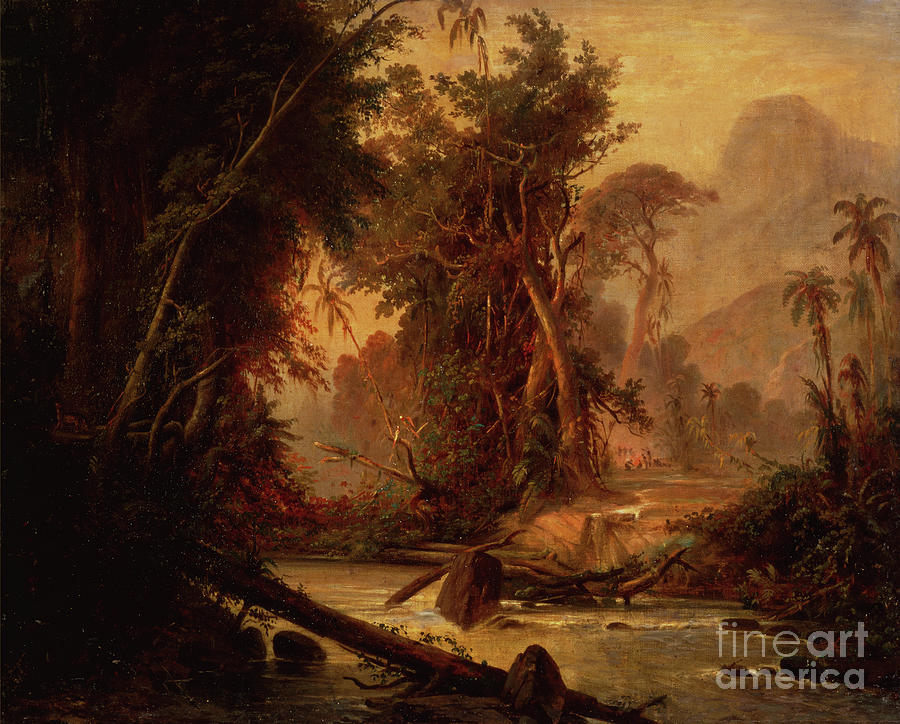 A Tropical Forest In Venezuela Painting by Ferdinand Bellermann
