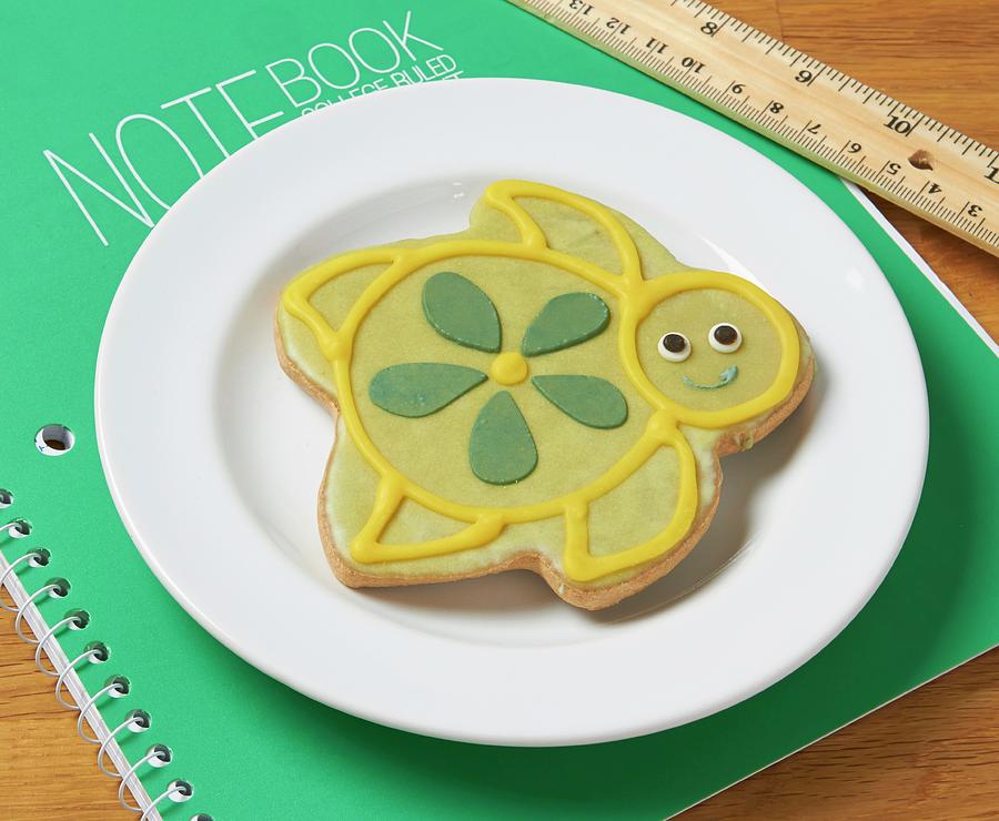 A Turtle Shaped Biscuit Decorated With Icing On A Notebook Photograph by Allison Dinner