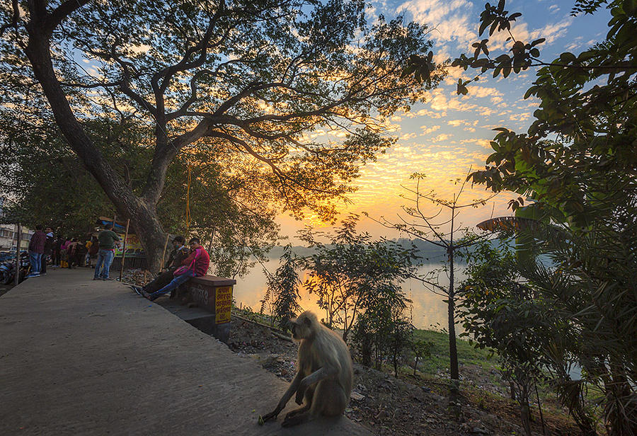Sunset Photograph - A Twilight Moment Along The Banks by Souvik Banerjee