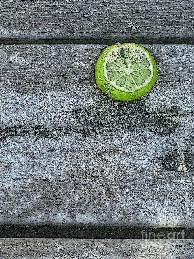 A Twist of Lime Photograph by Diana Rajala