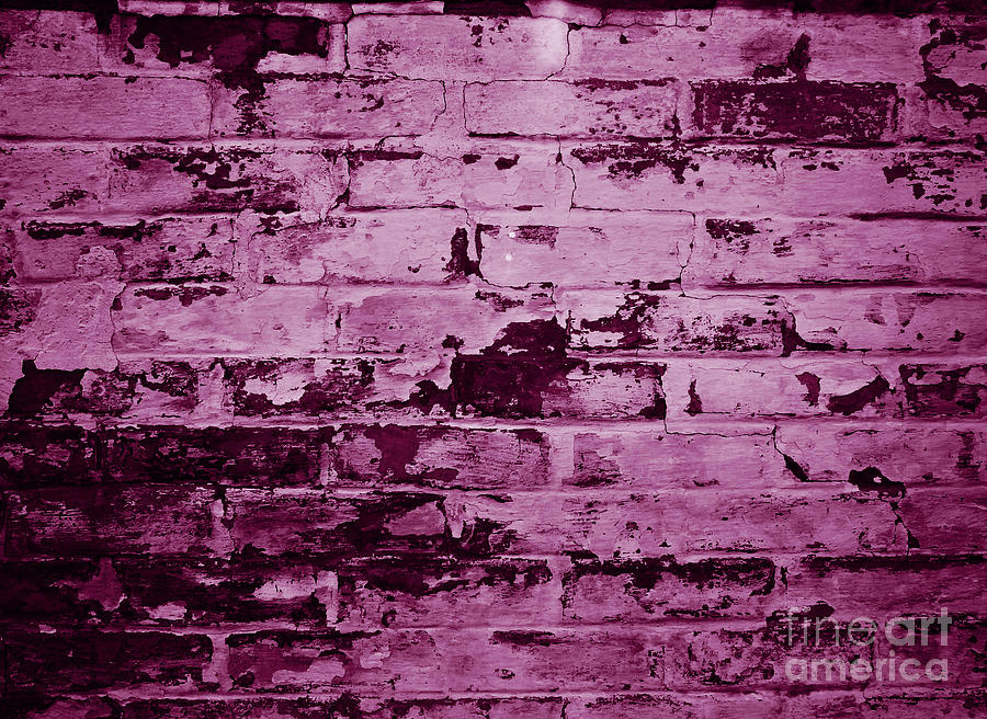 A Tyrian Purple Brickwall Background Photograph by Dan Radi - Fine Art ...