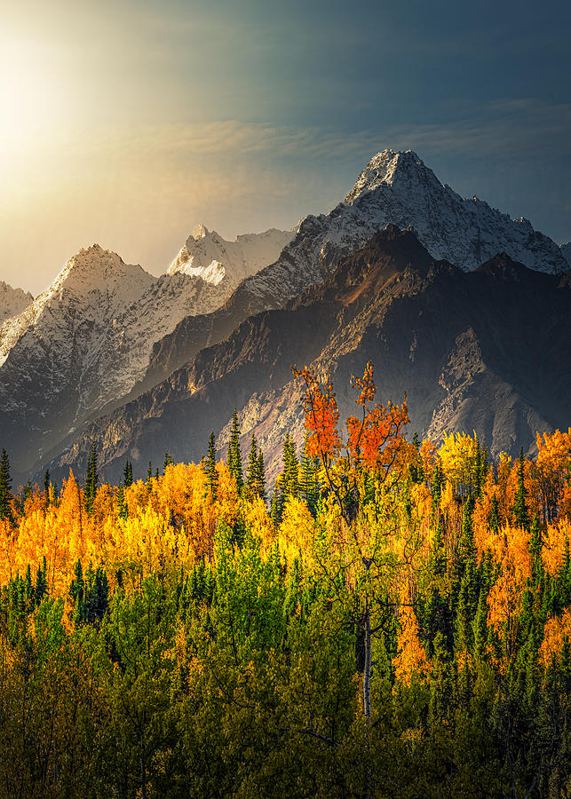 A Valley In Alaska Photograph by Siyu And Wei Photography
