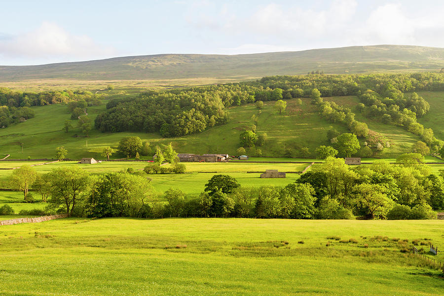 A Valley In The Yorkshire Dales Photograph by P A Thompson