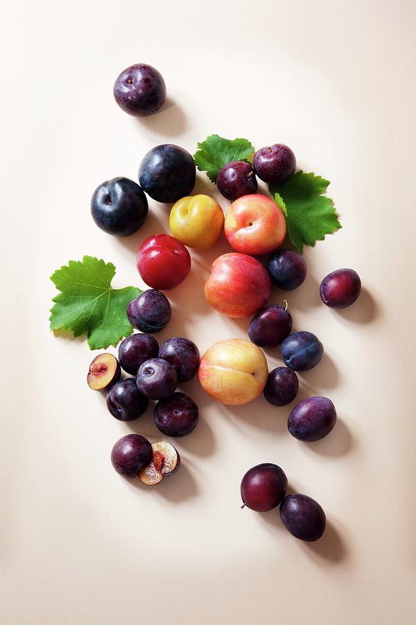 A Variety Of Different Plums On A Peach Coloured Painted Background Photograph by Victoria Firmston