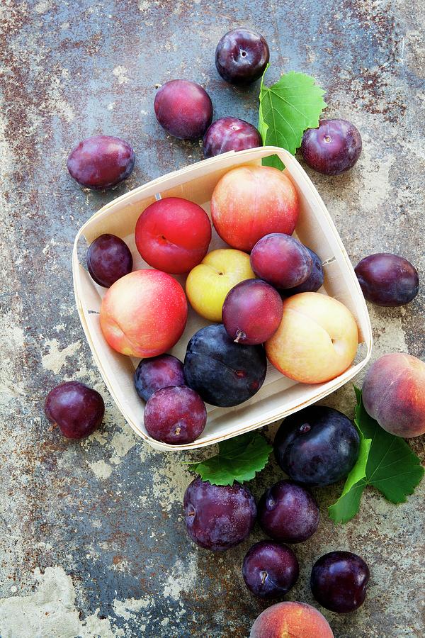 A Variety Of Different Plums, Some In A Wooden Punnet On A Distressed Background Photograph by Victoria Firmston