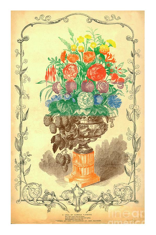 A Vase Of Summer Flowers Drawing by Print Collector