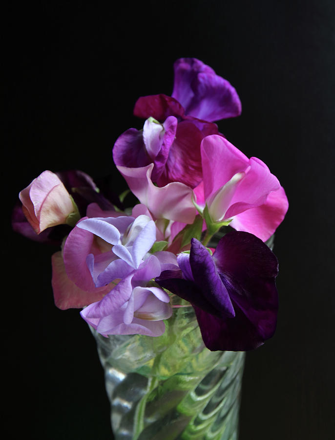 A Vase Of Sweet Peas Photograph