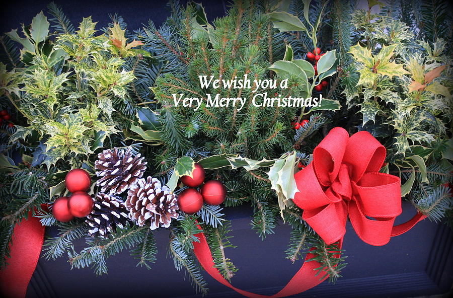 A Very Merry Christmas - Greeting Card Photograph by Dora Sofia Caputo