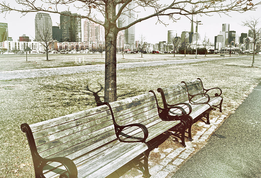 A View From A Park Bench Photograph by JAMART Photography