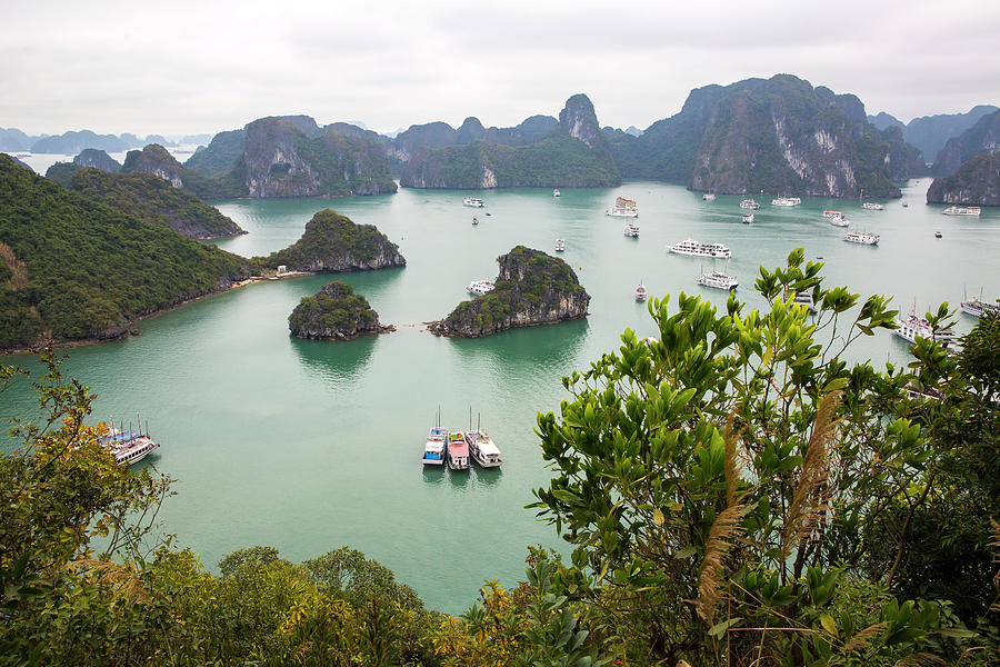 A View From Above Of Halong Bay, Vietnam From Ti Top Island. Photograph ...