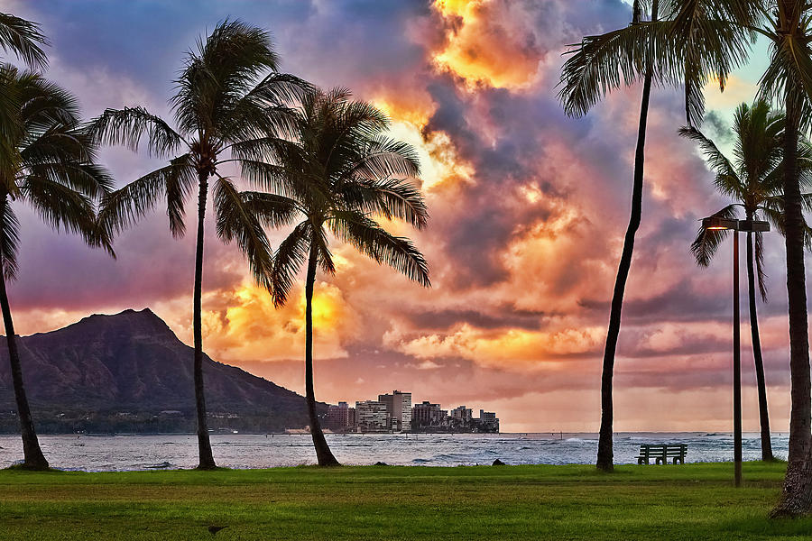 Architecture Photograph - A View From Ala Moana Beach Park by Marcia Colelli