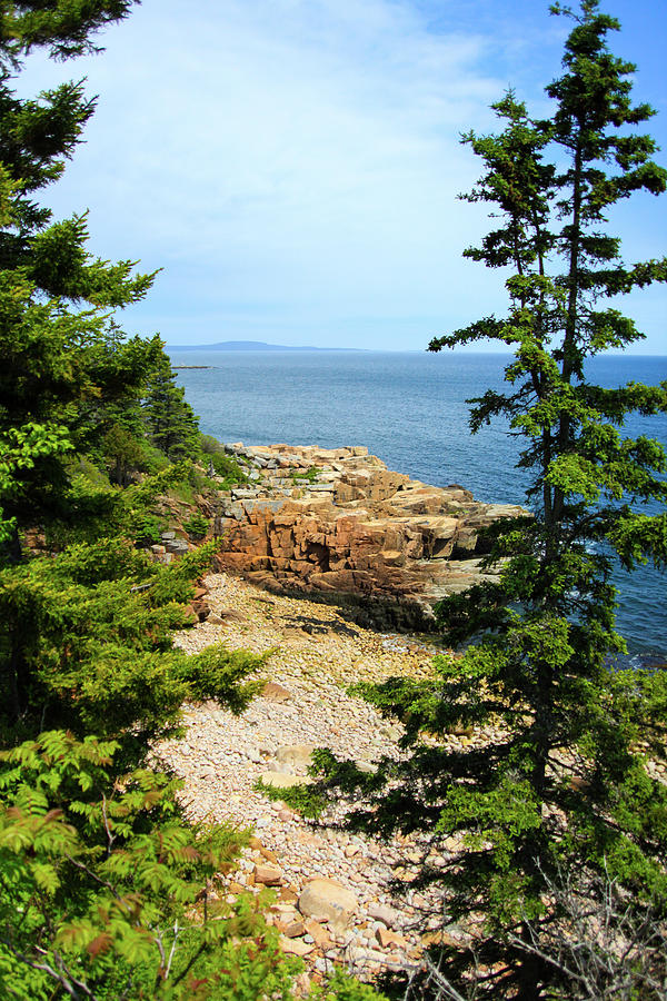 A View From Acadia Photograph by Karol Livote