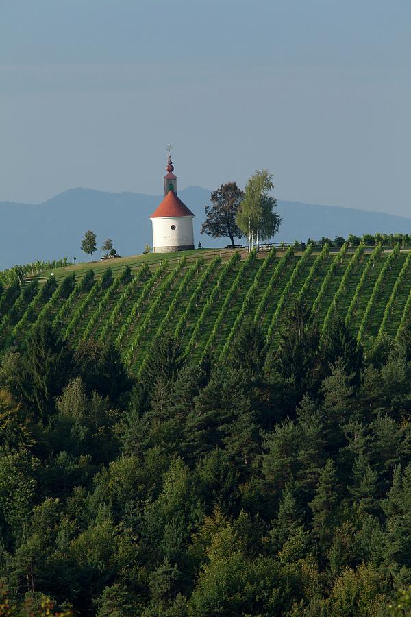 A Vineyard With A Small Chapel, Styria Photograph by Joerg Lehmann