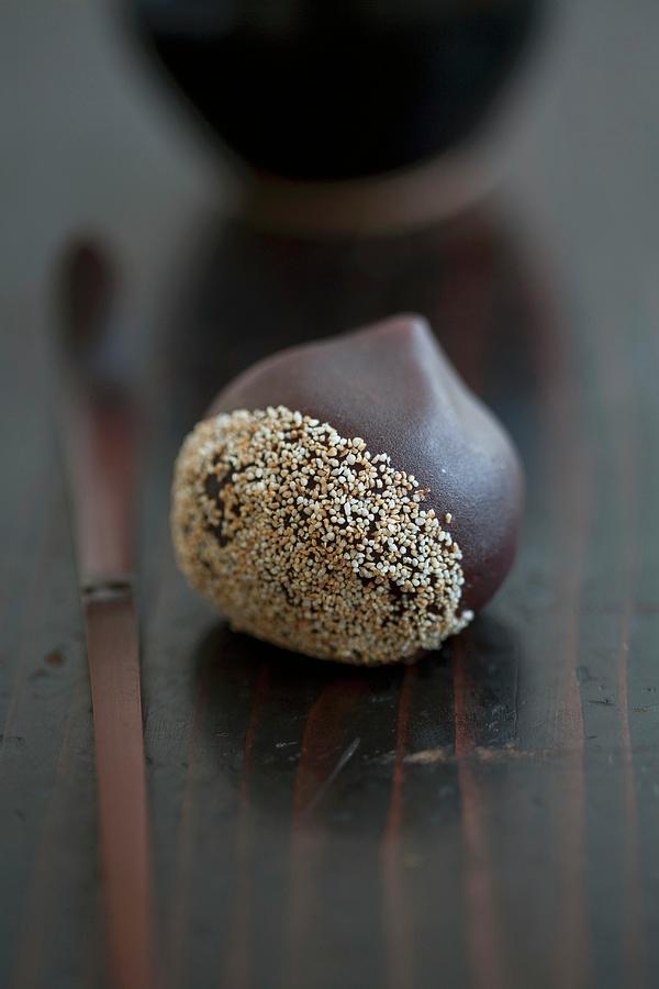 A Wagashi Chestnut Photograph by Martina Schindler